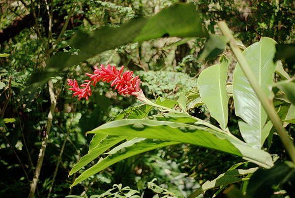 Mauritius - ein Reisebericht von Gerhard Edl