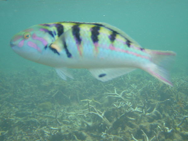 175.jpg