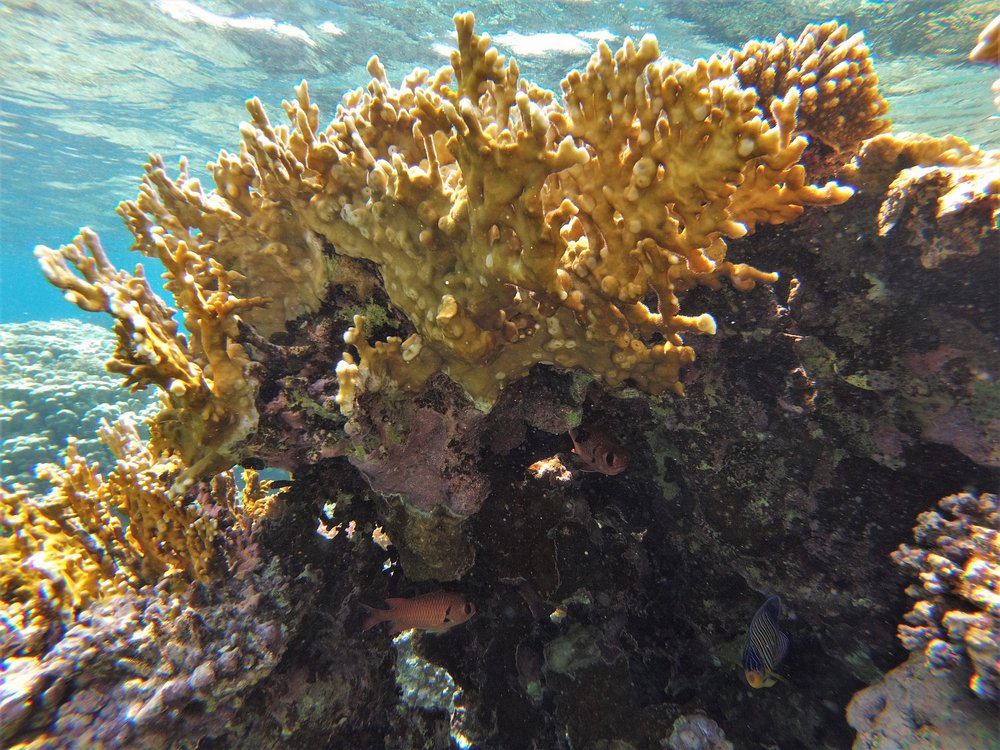 GOPR2304.jpg