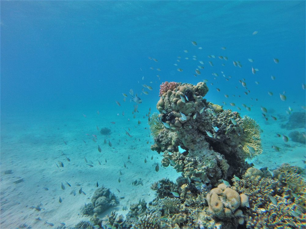 GOPR2417.jpg