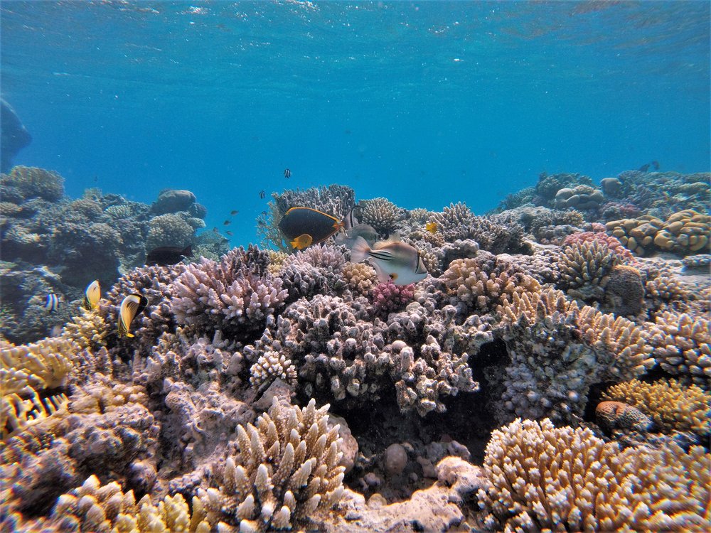 GOPR2437a.jpg