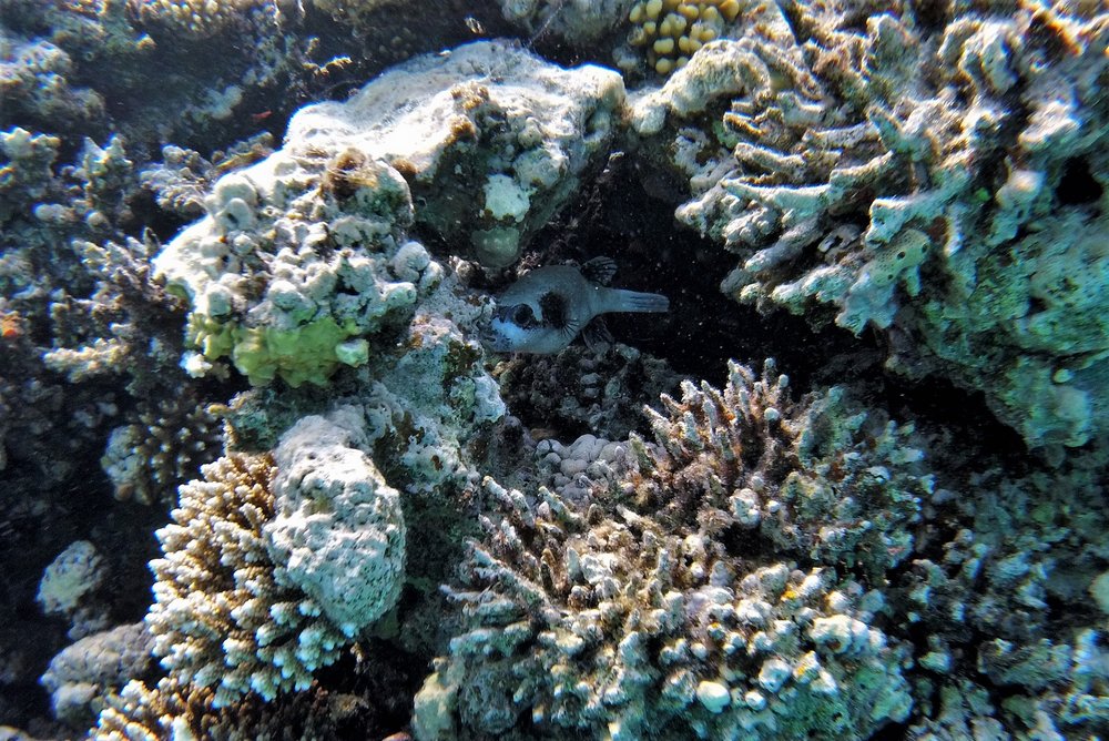 GOPR2443a.jpg