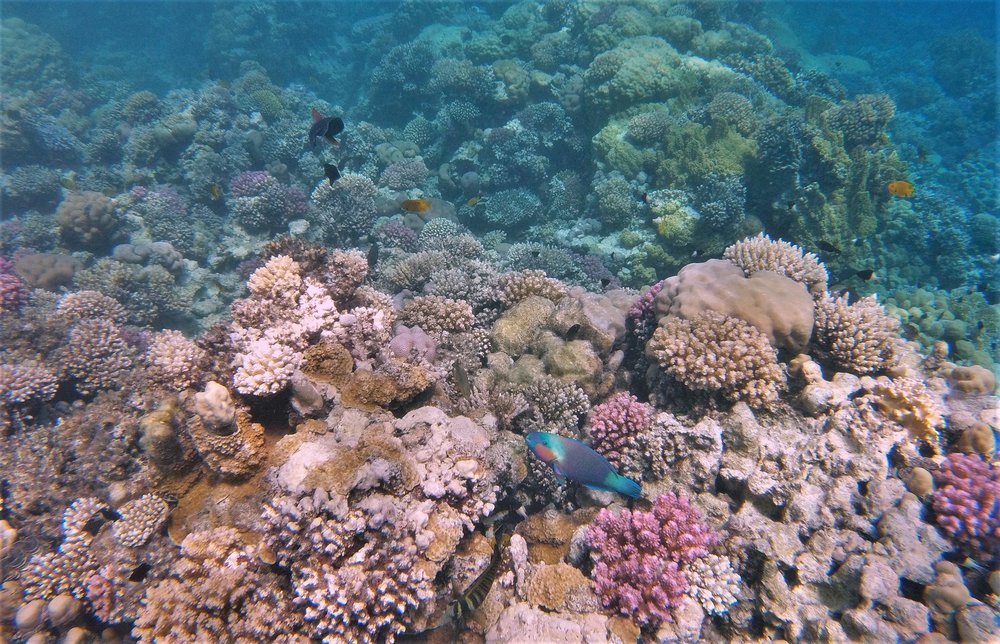 GOPR2462a.jpg