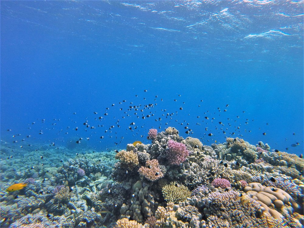 GOPR2477a.jpg