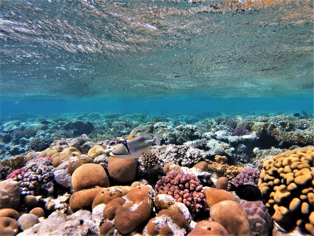 GOPR2483a.jpg