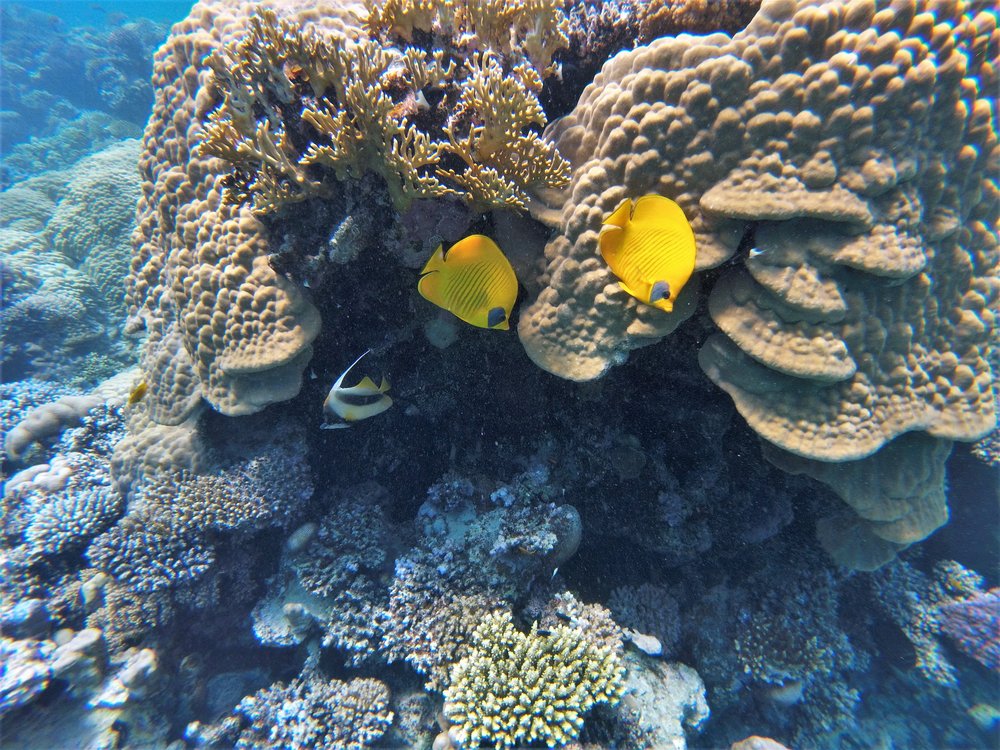 GOPR2549a.jpg