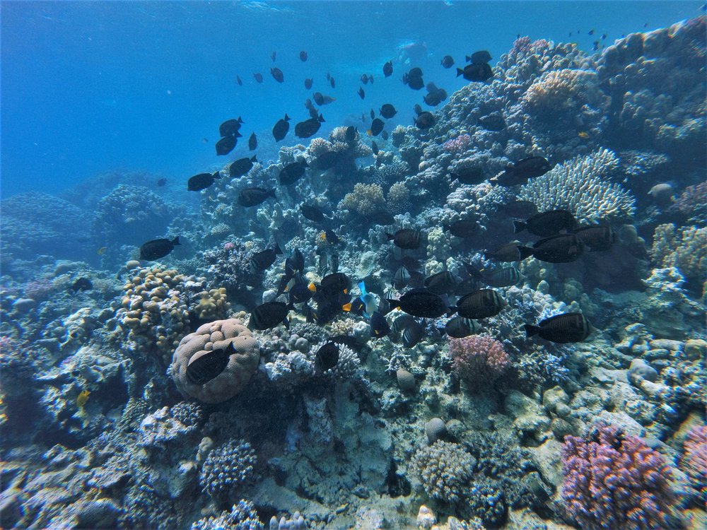 GOPR2566a.jpg