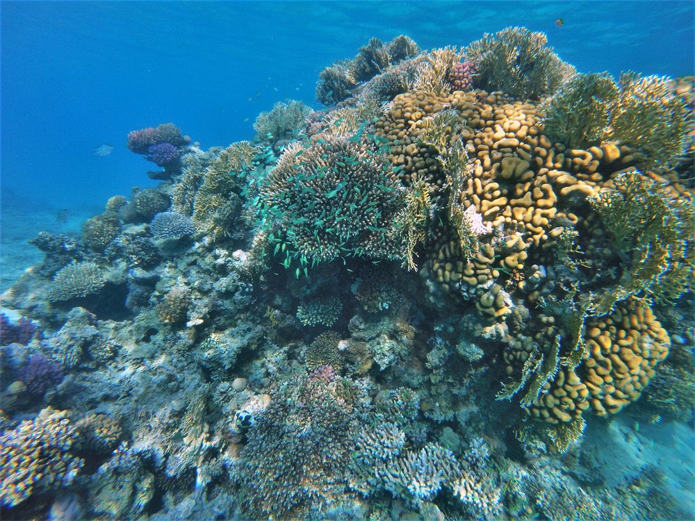 GOPR2626a.jpg