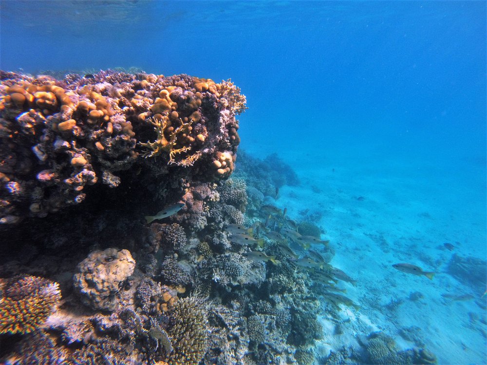 GOPR2632a.jpg