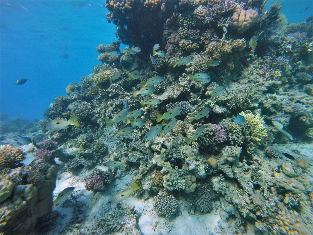 GOPR2633a.jpg