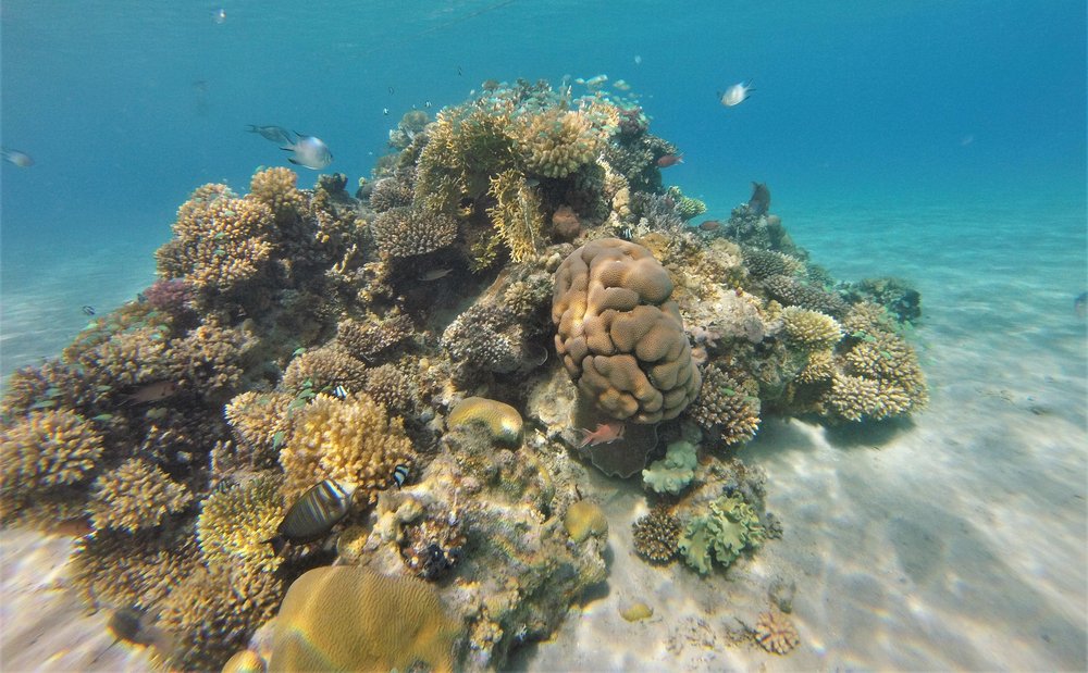 GOPR3781b.jpg