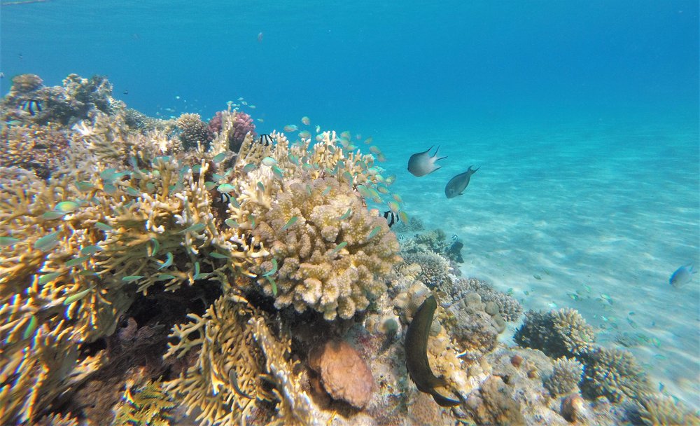 GOPR3784a.jpg
