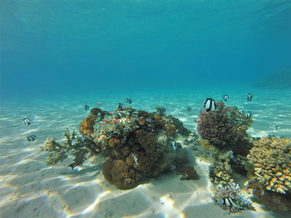 GOPR3789a.jpg