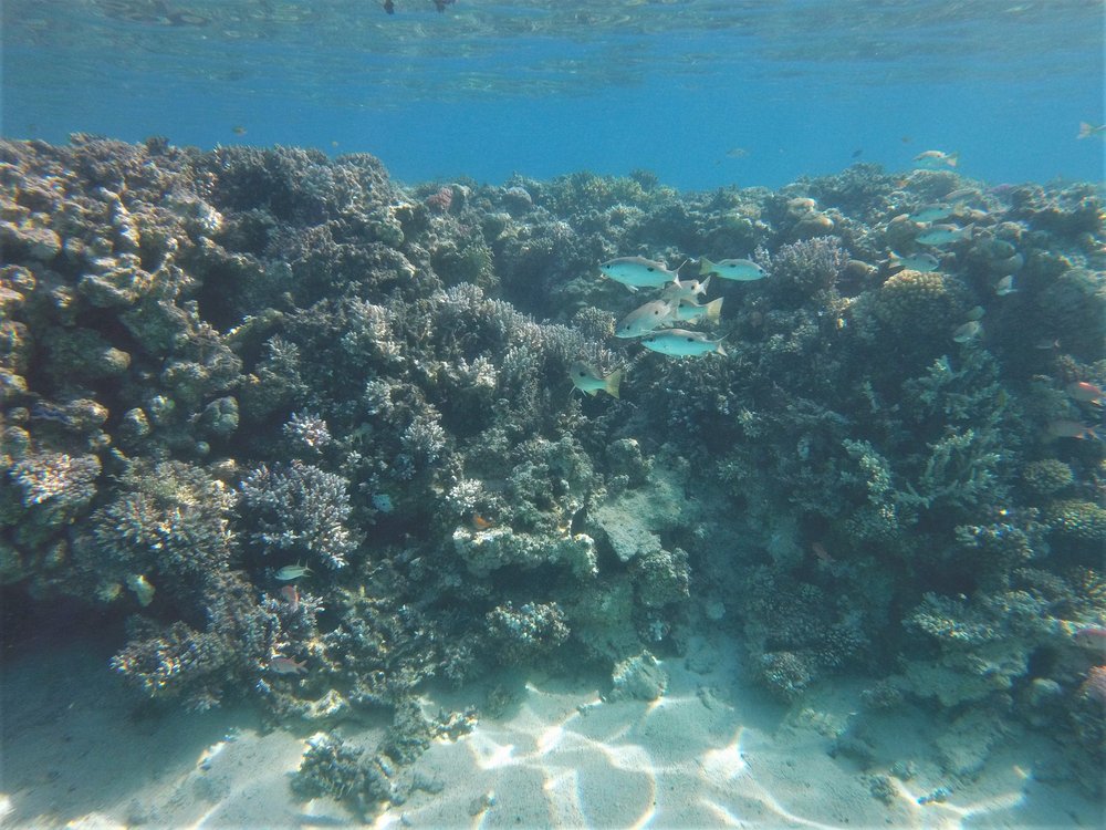 GOPR3790a.jpg