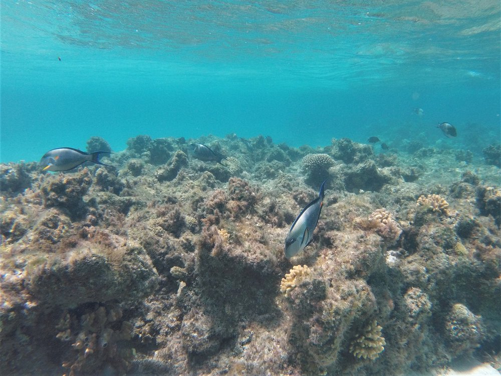 GOPR3823a.jpg