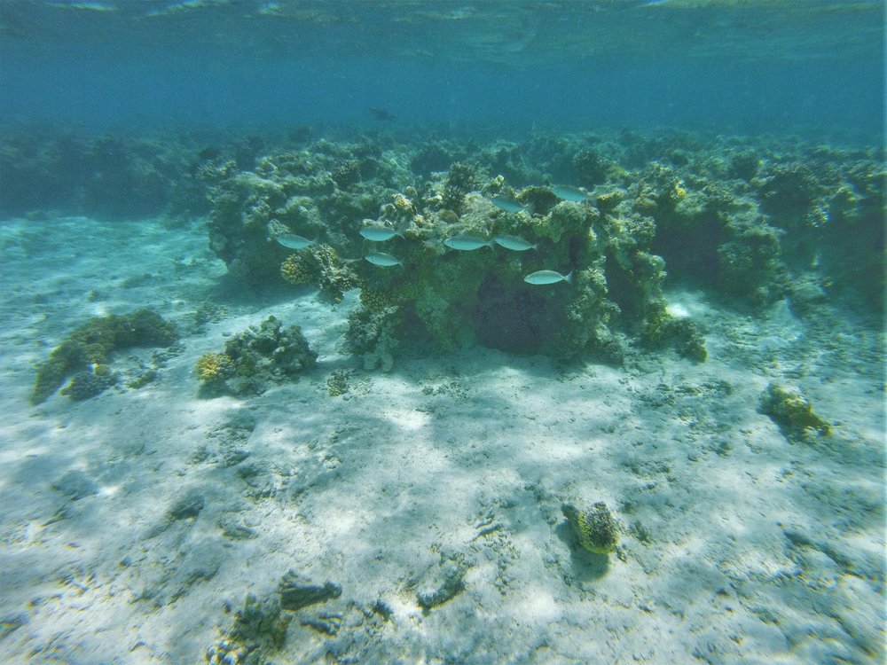 GOPR3829a.jpg