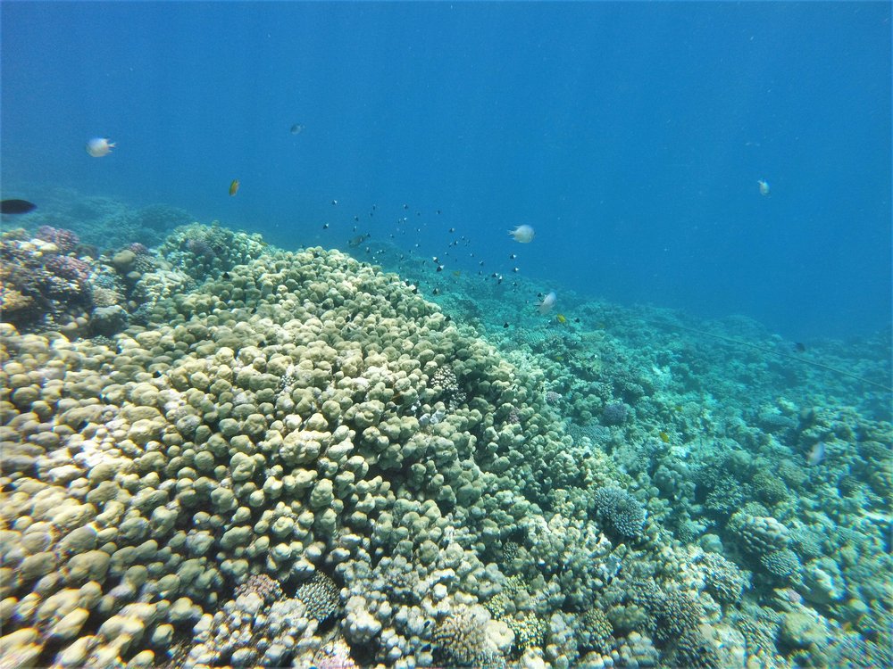 GOPR3840a.jpg