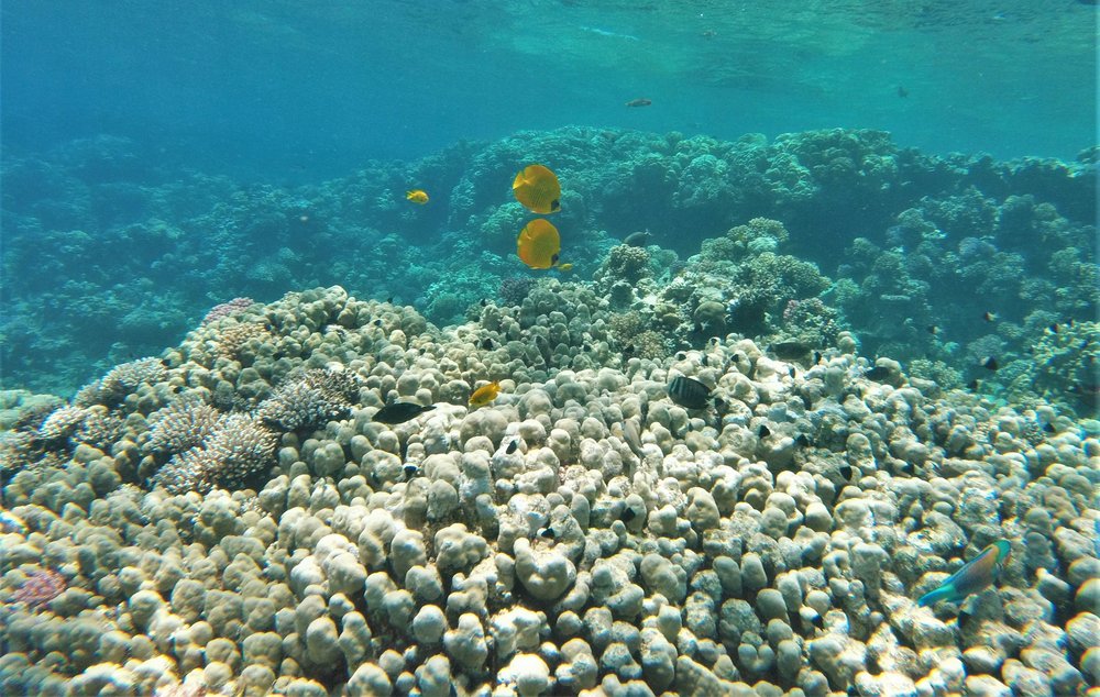 GOPR3848a.jpg