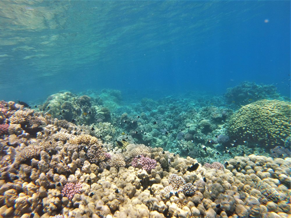 GOPR3851a.jpg