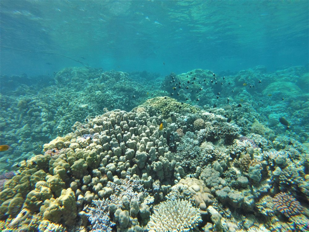 GOPR3854a.jpg