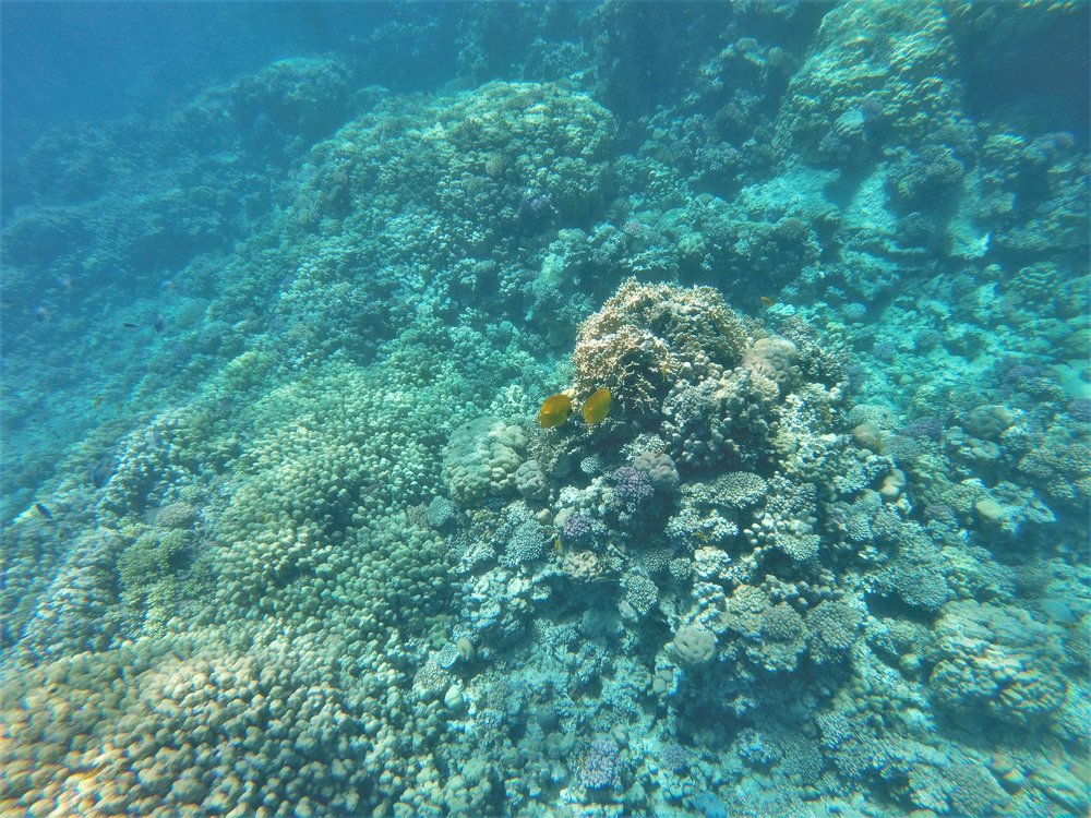 GOPR3856a.jpg