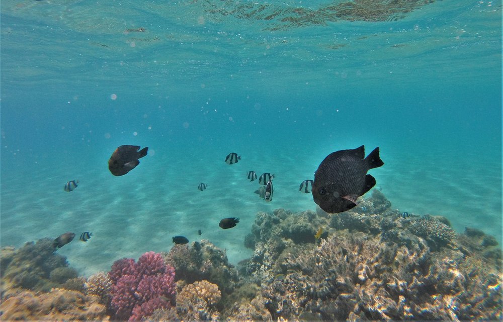 GOPR3871a.jpg