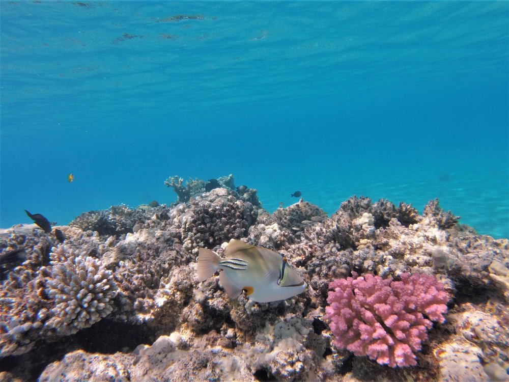 GOPR3892a.jpg