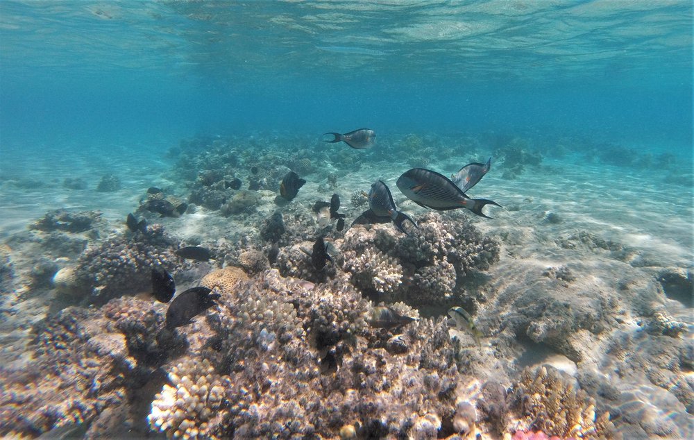 GOPR3924a.jpg