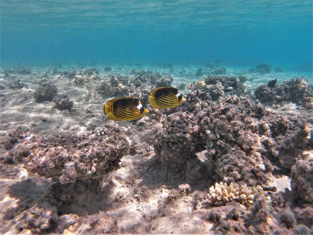 GOPR3934a.jpg