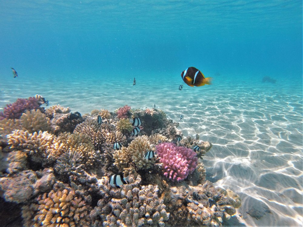 GOPR3958a.jpg