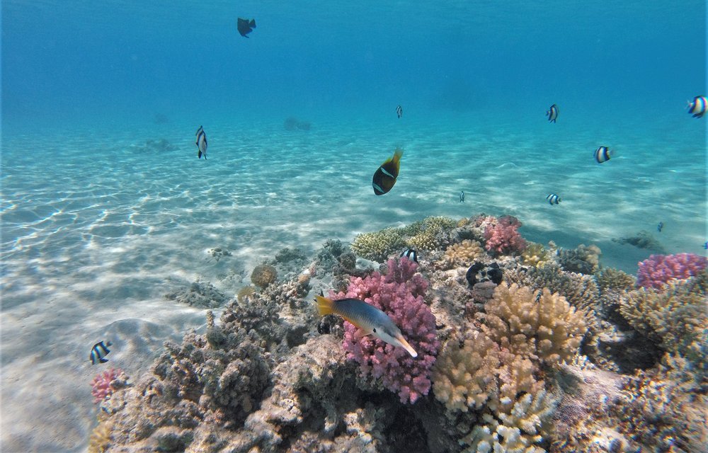 GOPR3973a.jpg
