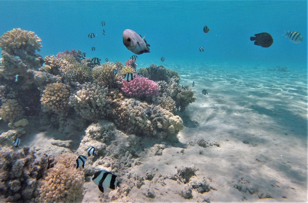 GOPR3978a.jpg