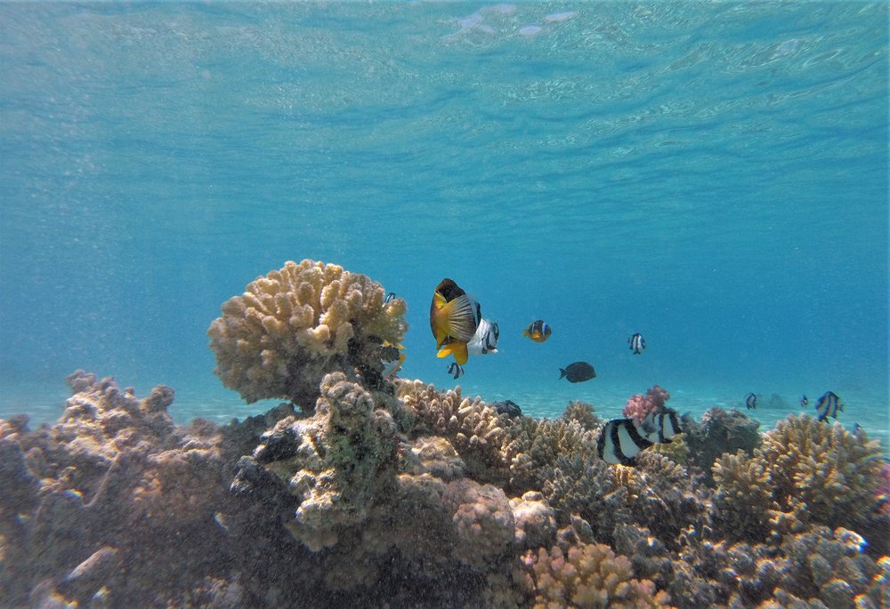 GOPR3985a.jpg