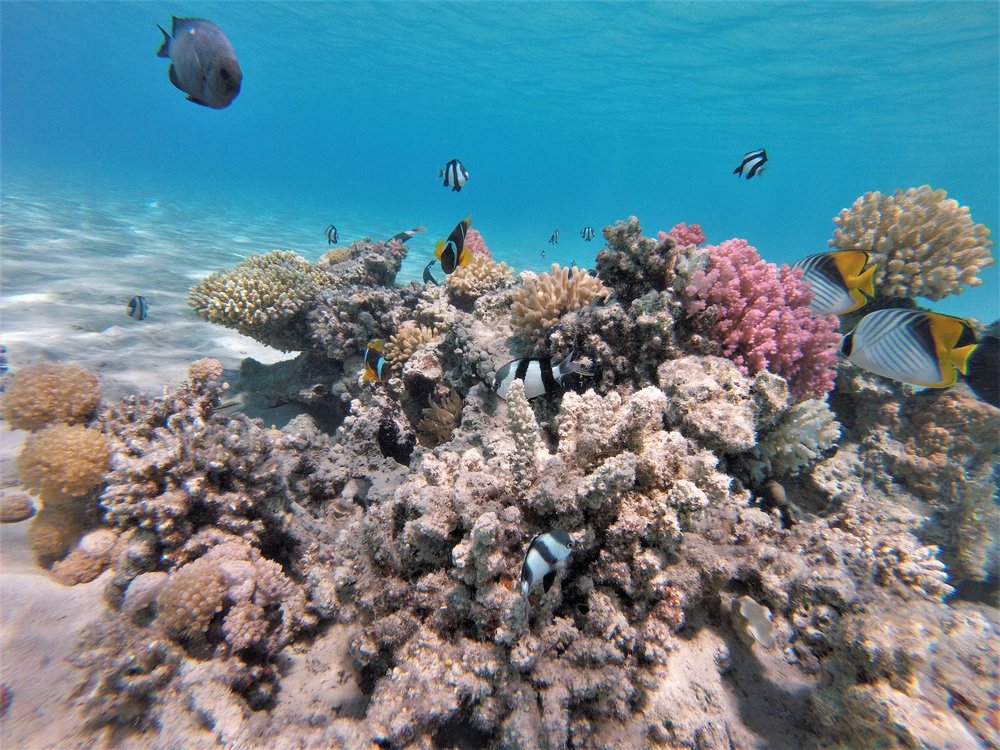 GOPR3987a.jpg