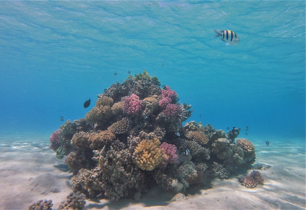 GOPR3990a.jpg