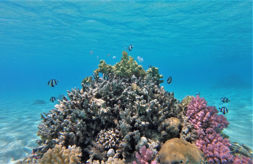 GOPR3992a.jpg
