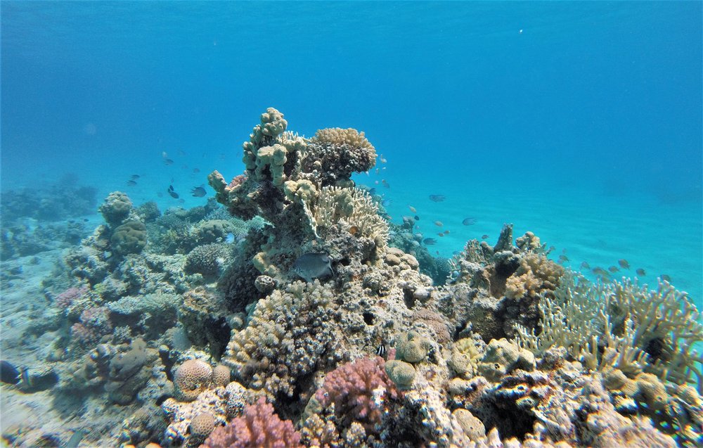 GOPR4018a.jpg