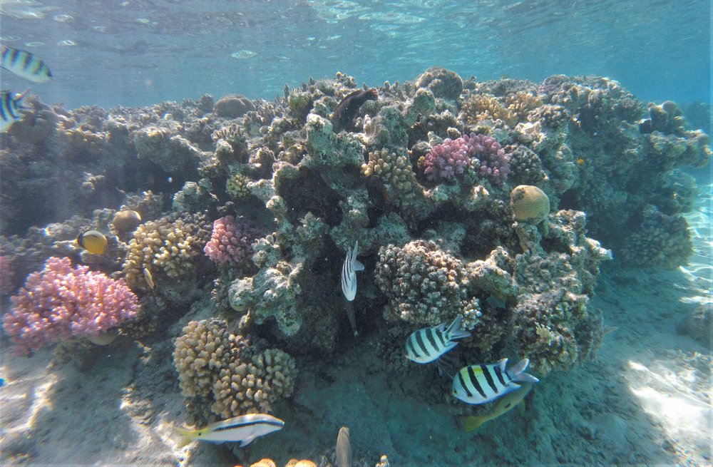 GOPR4094a.jpg