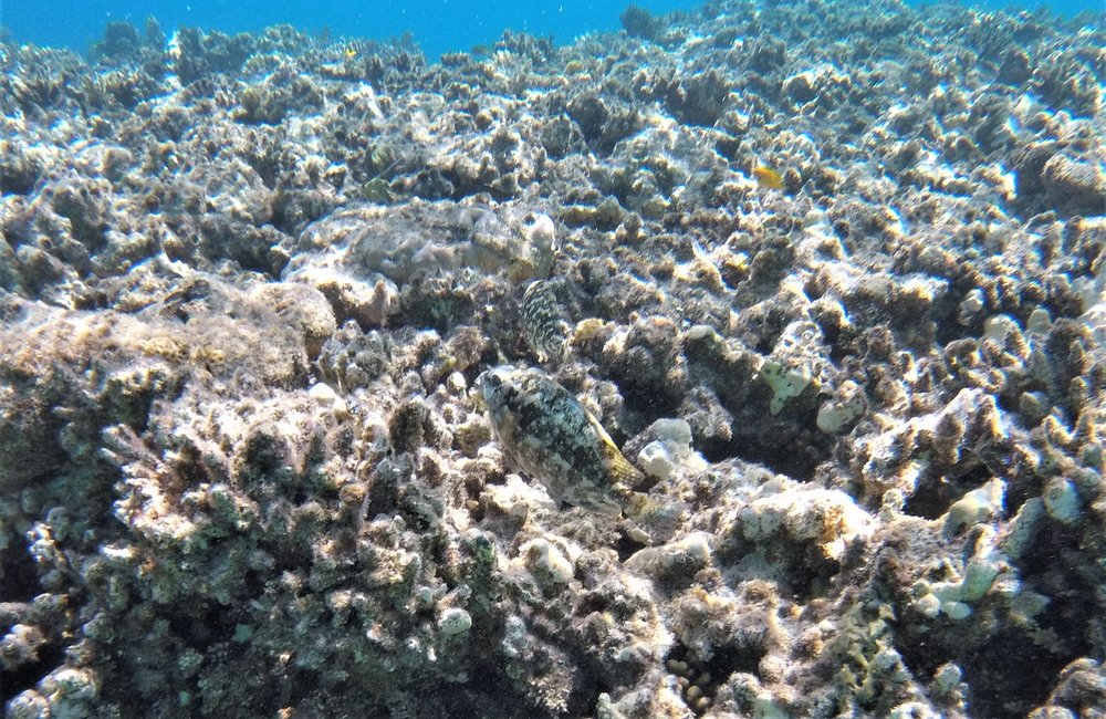 GOPR4137a.jpg