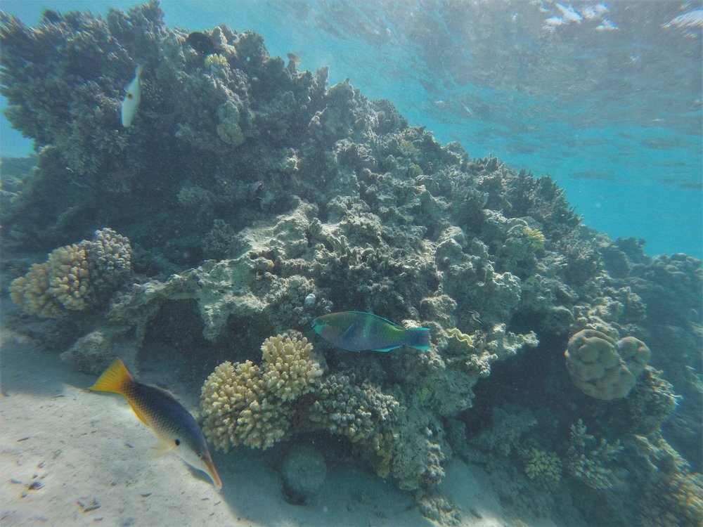 GOPR4190a.jpg