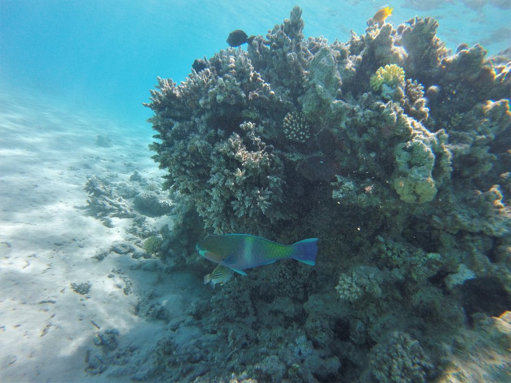 GOPR4191a.jpg