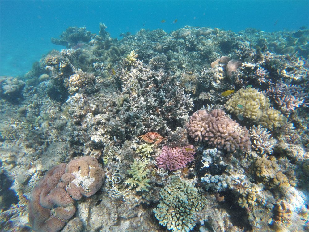 GOPR4209a.jpg