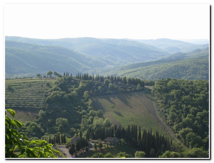 Radda in Chianti
