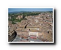 Siena
