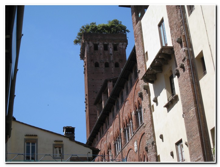 Lucca

