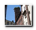 Lucca
