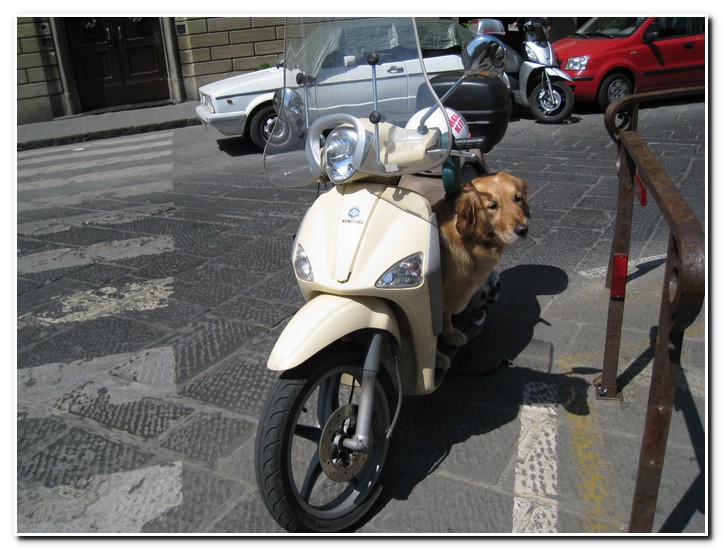 Florenz
