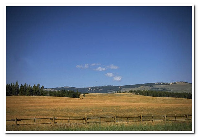 In den Bighorn Mountains, Wyoming
... ein Indianer beim Telefonieren ;-)