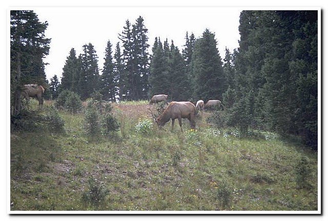 Rocky Mountains National Park, Colorado
