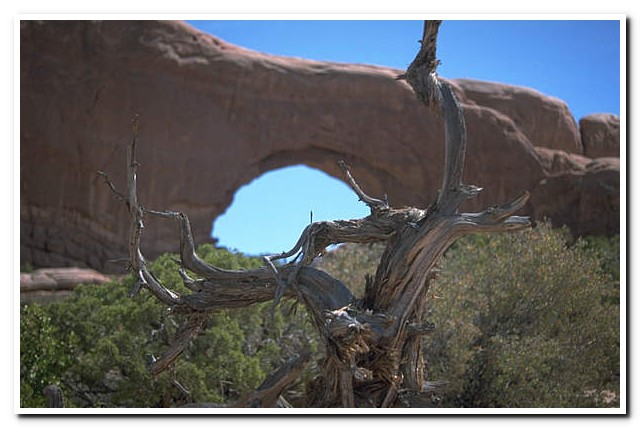 Arches National Park, Utah
